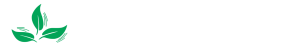 Untitled (1293 x 415 px) (1)